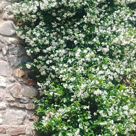 Nastou View Hotel 3*